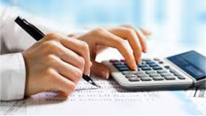 Internal Control Senior Executive